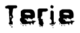 The image contains the word Terie in a stylized font with a static looking effect at the bottom of the words