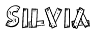 The image contains the name Silvia written in a decorative, stylized font with a hand-drawn appearance. The lines are made up of what appears to be planks of wood, which are nailed together