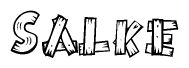 The image contains the name Salke written in a decorative, stylized font with a hand-drawn appearance. The lines are made up of what appears to be planks of wood, which are nailed together