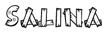 The clipart image shows the name Salina stylized to look like it is constructed out of separate wooden planks or boards, with each letter having wood grain and plank-like details.