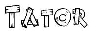 The image contains the name Tator written in a decorative, stylized font with a hand-drawn appearance. The lines are made up of what appears to be planks of wood, which are nailed together