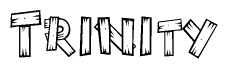 The image contains the name Trinity written in a decorative, stylized font with a hand-drawn appearance. The lines are made up of what appears to be planks of wood, which are nailed together