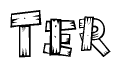 The clipart image shows the name Ter stylized to look like it is constructed out of separate wooden planks or boards, with each letter having wood grain and plank-like details.