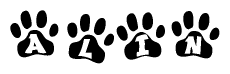 The image shows a series of animal paw prints arranged in a horizontal line. Each paw print contains a letter, and together they spell out the word Alin.