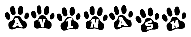 The image shows a series of animal paw prints arranged in a horizontal line. Each paw print contains a letter, and together they spell out the word Avinash.