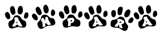The image shows a row of animal paw prints, each containing a letter. The letters spell out the word Ampara within the paw prints.