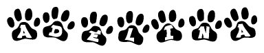 Animal Paw Prints with Adelina Lettering