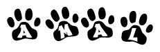 The image shows a series of animal paw prints arranged in a horizontal line. Each paw print contains a letter, and together they spell out the word Amal.
