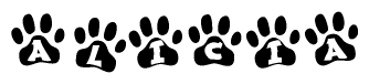 The image shows a series of animal paw prints arranged in a horizontal line. Each paw print contains a letter, and together they spell out the word Alicia.