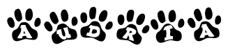 The image shows a series of animal paw prints arranged horizontally. Within each paw print, there's a letter; together they spell Audria