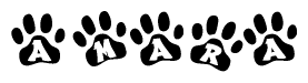 The image shows a series of animal paw prints arranged in a horizontal line. Each paw print contains a letter, and together they spell out the word Amara.