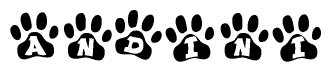 The image shows a row of animal paw prints, each containing a letter. The letters spell out the word Andini within the paw prints.