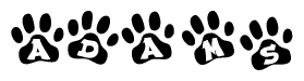 The image shows a row of animal paw prints, each containing a letter. The letters spell out the word Adams within the paw prints.