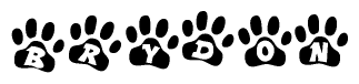 The image shows a series of animal paw prints arranged in a horizontal line. Each paw print contains a letter, and together they spell out the word Brydon.