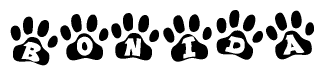 The image shows a series of animal paw prints arranged horizontally. Within each paw print, there's a letter; together they spell Bonida