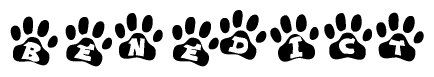 The image shows a series of animal paw prints arranged in a horizontal line. Each paw print contains a letter, and together they spell out the word Benedict.