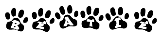 The image shows a series of animal paw prints arranged in a horizontal line. Each paw print contains a letter, and together they spell out the word Beatie.