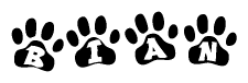 The image shows a row of animal paw prints, each containing a letter. The letters spell out the word Bian within the paw prints.