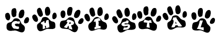 The image shows a series of animal paw prints arranged in a horizontal line. Each paw print contains a letter, and together they spell out the word Christal.