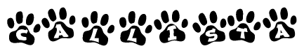 The image shows a row of animal paw prints, each containing a letter. The letters spell out the word Callista within the paw prints.