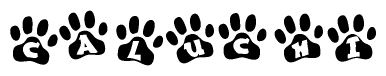 The image shows a series of animal paw prints arranged in a horizontal line. Each paw print contains a letter, and together they spell out the word Caluchi.