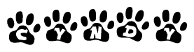The image shows a series of animal paw prints arranged horizontally. Within each paw print, there's a letter; together they spell Cyndy