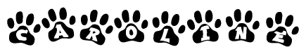 The image shows a series of animal paw prints arranged in a horizontal line. Each paw print contains a letter, and together they spell out the word Caroline.