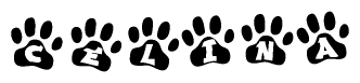 The image shows a series of animal paw prints arranged in a horizontal line. Each paw print contains a letter, and together they spell out the word Celina.