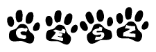 The image shows a series of animal paw prints arranged horizontally. Within each paw print, there's a letter; together they spell Cesz