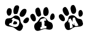 The image shows a series of animal paw prints arranged in a horizontal line. Each paw print contains a letter, and together they spell out the word Dim.