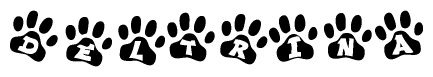 The image shows a series of animal paw prints arranged in a horizontal line. Each paw print contains a letter, and together they spell out the word Deltrina.