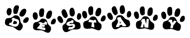 The image shows a series of animal paw prints arranged horizontally. Within each paw print, there's a letter; together they spell Destany