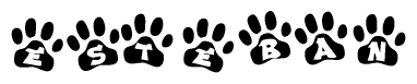 The image shows a series of animal paw prints arranged horizontally. Within each paw print, there's a letter; together they spell Esteban