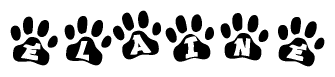 The image shows a series of animal paw prints arranged in a horizontal line. Each paw print contains a letter, and together they spell out the word Elaine.