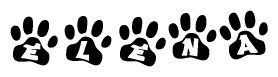 The image shows a series of animal paw prints arranged in a horizontal line. Each paw print contains a letter, and together they spell out the word Elena.