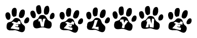 The image shows a series of animal paw prints arranged in a horizontal line. Each paw print contains a letter, and together they spell out the word Evelyne.