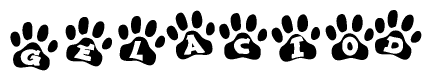 The image shows a series of animal paw prints arranged in a horizontal line. Each paw print contains a letter, and together they spell out the word Gelaciod.