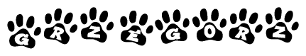 The image shows a series of animal paw prints arranged horizontally. Within each paw print, there's a letter; together they spell Grzegorz