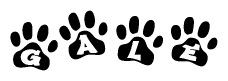 The image shows a row of animal paw prints, each containing a letter. The letters spell out the word Gale within the paw prints.