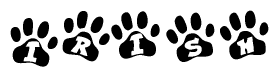 The image shows a row of animal paw prints, each containing a letter. The letters spell out the word Irish within the paw prints.