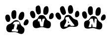 The image shows a series of animal paw prints arranged in a horizontal line. Each paw print contains a letter, and together they spell out the word Ivan.