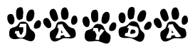The image shows a row of animal paw prints, each containing a letter. The letters spell out the word Jayda within the paw prints.