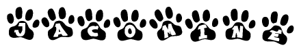 The image shows a series of animal paw prints arranged horizontally. Within each paw print, there's a letter; together they spell Jacomine