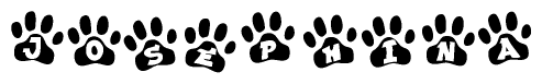 The image shows a row of animal paw prints, each containing a letter. The letters spell out the word Josephina within the paw prints.