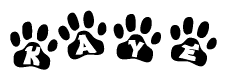 The image shows a series of animal paw prints arranged in a horizontal line. Each paw print contains a letter, and together they spell out the word Kaye.