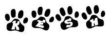The image shows a series of animal paw prints arranged in a horizontal line. Each paw print contains a letter, and together they spell out the word Kesh.