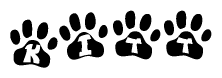 The image shows a series of animal paw prints arranged in a horizontal line. Each paw print contains a letter, and together they spell out the word Kitt.