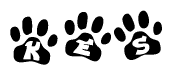 The image shows a series of animal paw prints arranged in a horizontal line. Each paw print contains a letter, and together they spell out the word Kes.