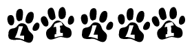 The image shows a series of animal paw prints arranged horizontally. Within each paw print, there's a letter; together they spell Lilli