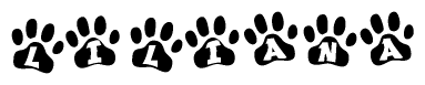 Animal Paw Prints with Liliana Lettering